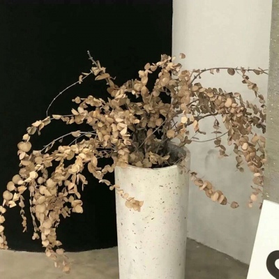 Furry绘画改稿灵感兽圈社群